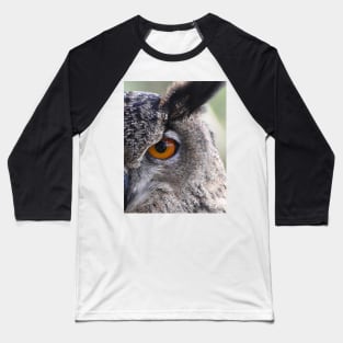 Eurasia Eagle Owl Baseball T-Shirt